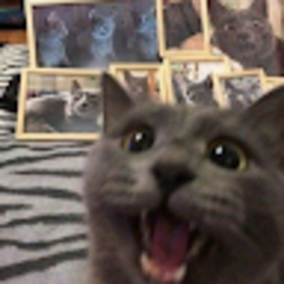 Meet your Posher, Weiya - Picture 1 of 1